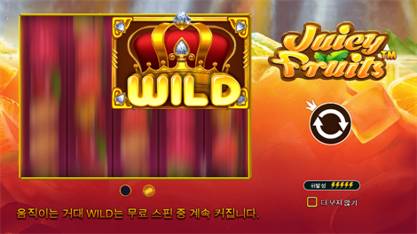 판다 포춘 2