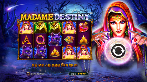 하키 리그 와일드 매치