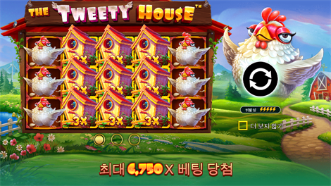 캐시 보난자