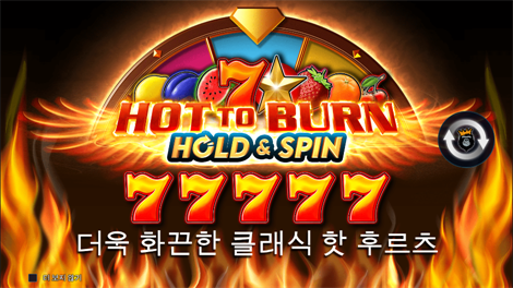 드래곤 히어로