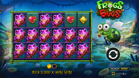 피라미드 보난자