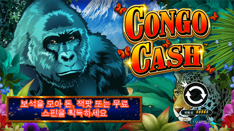 드래곤 타이거